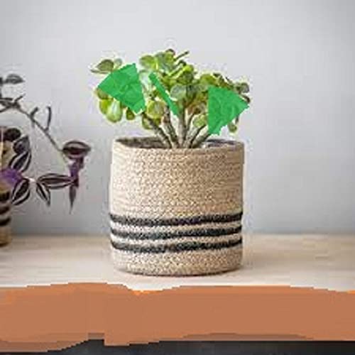 Multi-Purpose Storage Bag use for Bathroom Living Room