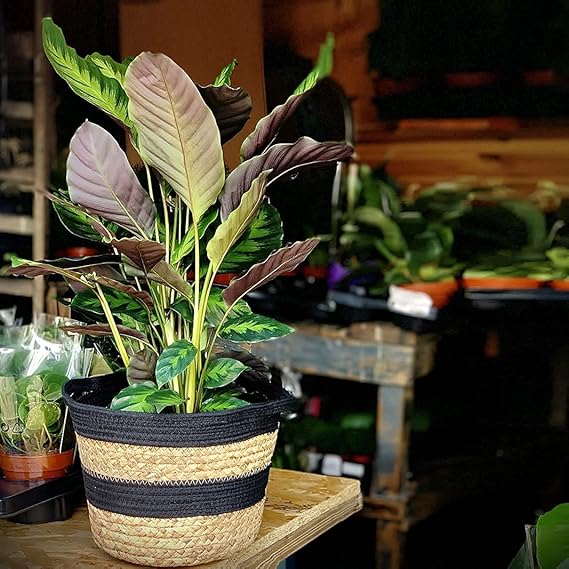 Multi-Purpose Storage Bag use for Bathroom Living Room