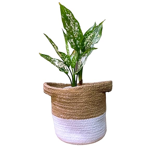 Jute and Cotton Basket Beige & White Storage Baskets