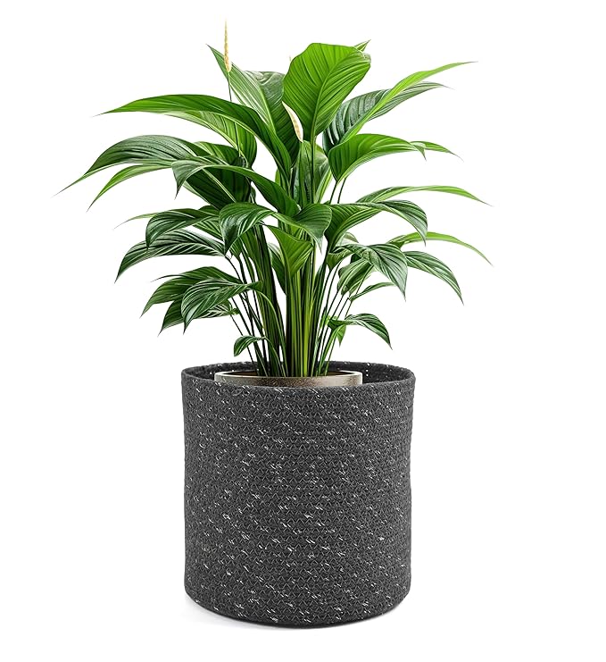 Braided Cotton Baskets | Storage Bins Organizer | Laundry, Toys & Planter Basket