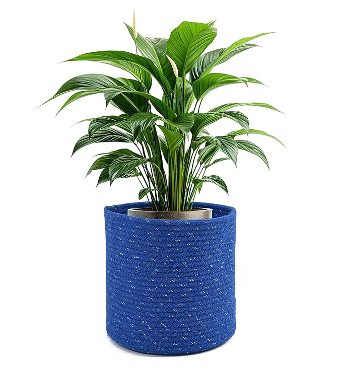 Braided Cotton Baskets | Storage Bins Organizer | Laundry, Toys & Planter Basket