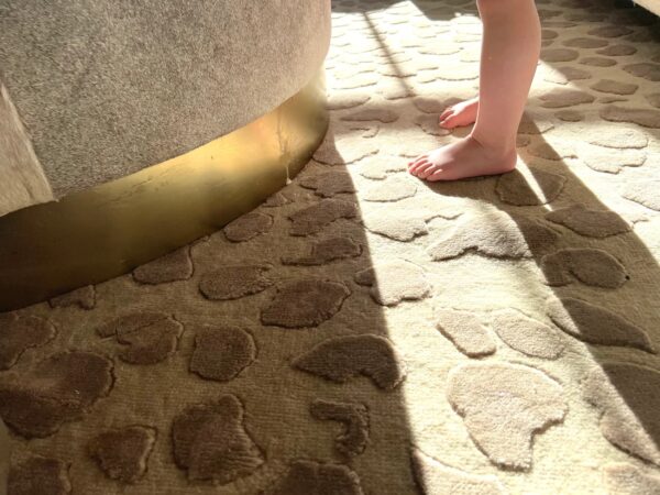 Persian Oushak Rug, Hand knotted Anatolian Oushak,Traditional Oushak Rugs