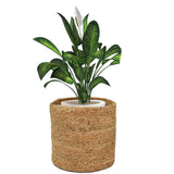 Braided Cotton Baskets | Storage Bins Organizer | Laundry, Toys & Planter Basket