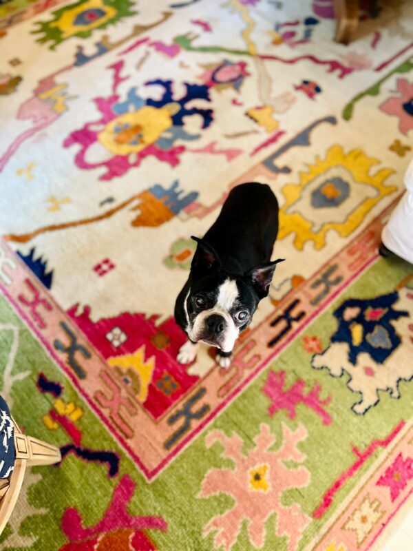 Floral Oushak Rug, Traditional Knotted Carpet,Wool Oushak Carpets